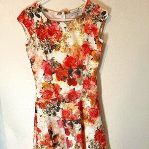 Shabby Apple Floral Dress